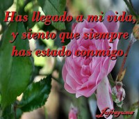 /album/fotogaleria/has-llegado-jpg/